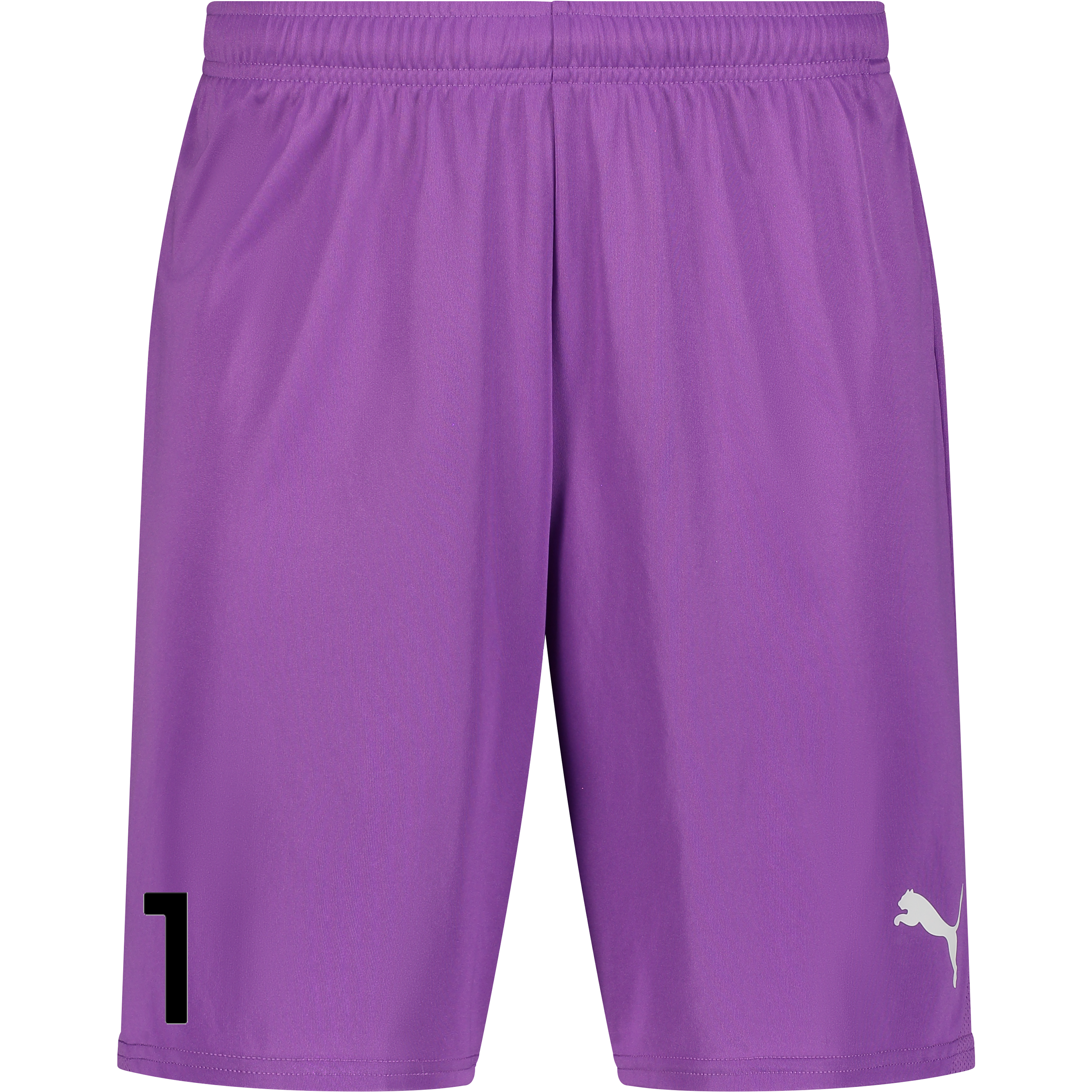 
PUMA, 
T Goal Shorts, 
Detail 1
