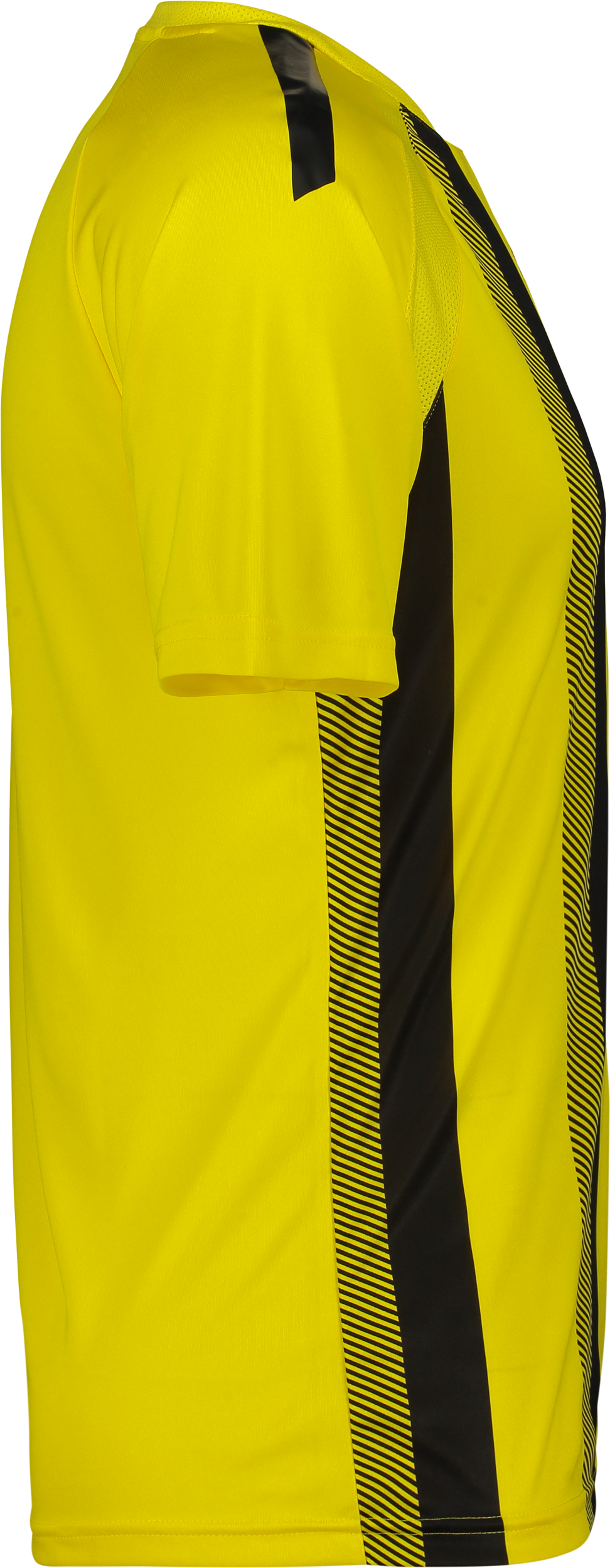 PUMA, T Liga Striped Jsy