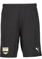 391942103101 PUMA T Goal Shorts 391942103101 PUMA T Goal Shorts Standard Small1x1