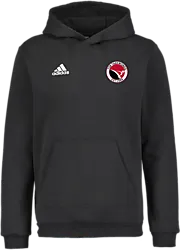 358916102101 ADIDAS Ent22 Hoody Jr 358916102101 ADIDAS Ent22 Hoody Jr Standard Small1x1