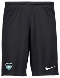 298937101101 NIKE Park III Short Jr 298937101101 NIKE Park III Short Jr Standard Small1x1