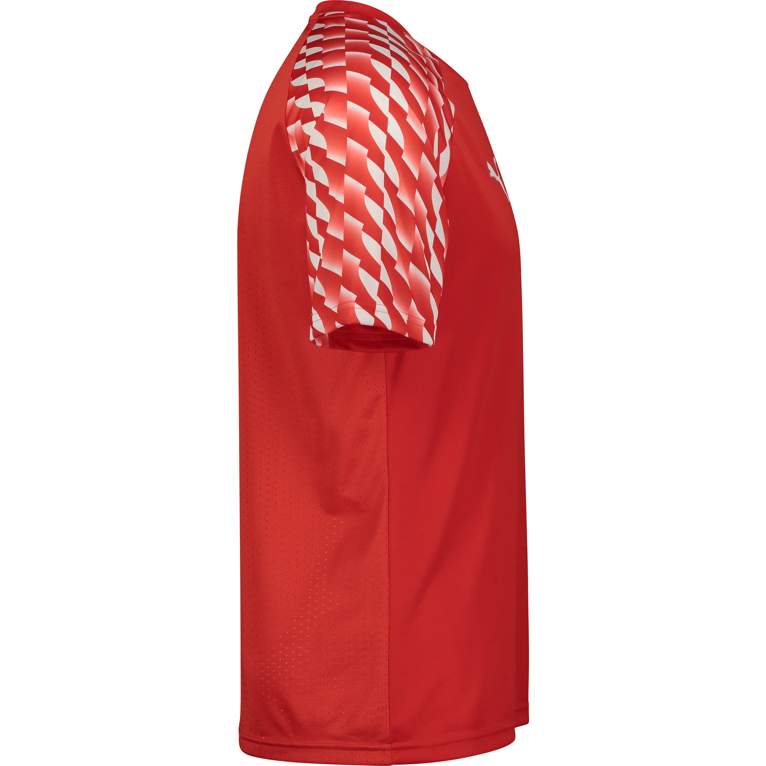 PUMA, TEAMLIGA26 JERSEY