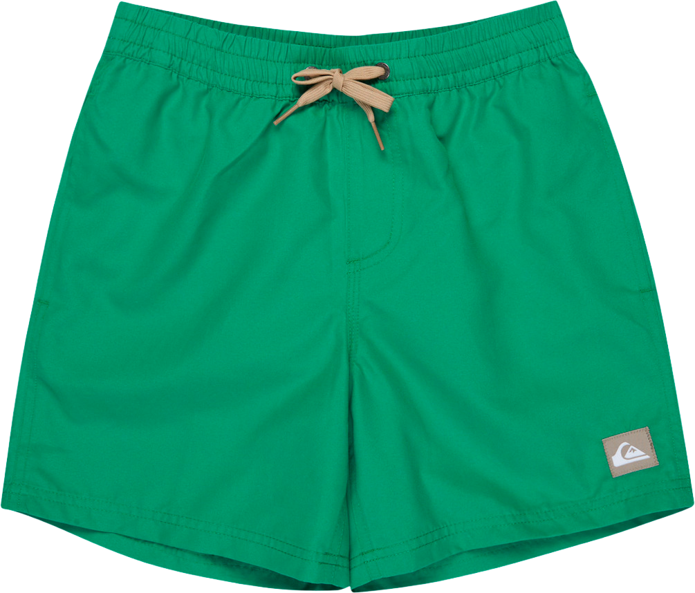 QUIKSILVER, J EVERYDAY VOLLEY YTH 14