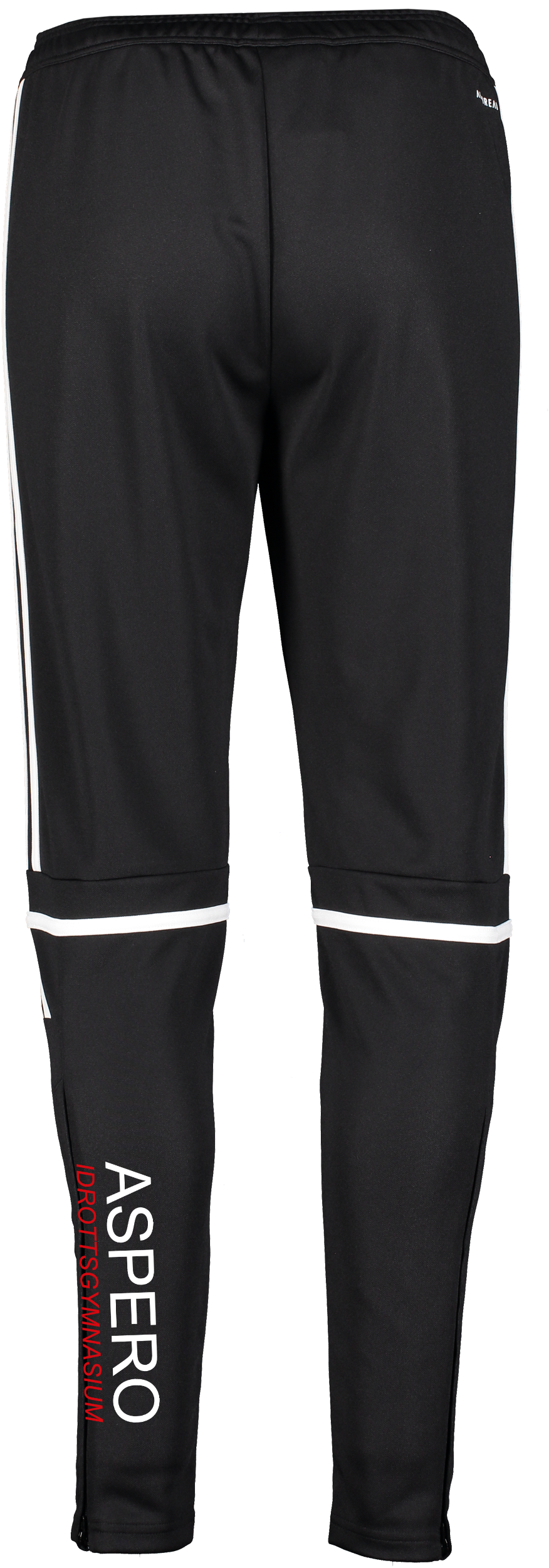 ADIDAS, Squad25 Tr Pnt W