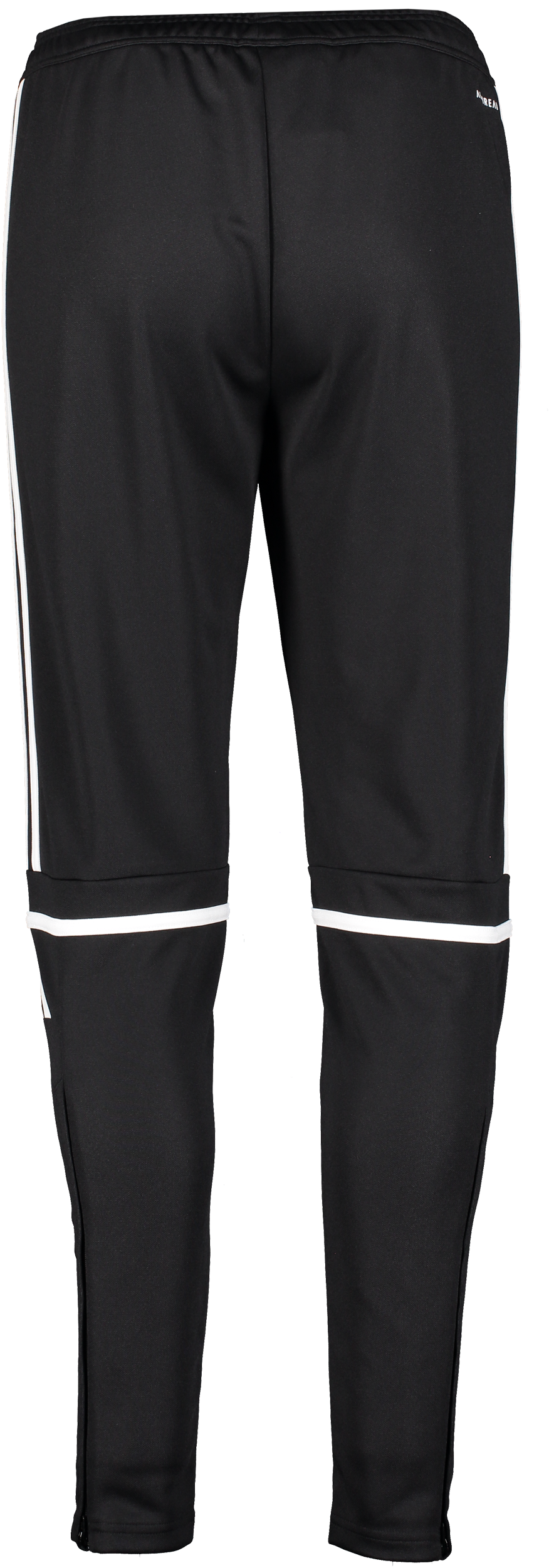 ADIDAS, Squad25 Tr Pnt W