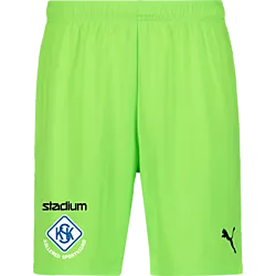 391942111101 PUMA T Goal Shorts 391942111101 PUMA T Goal Shorts Standard Small1x1