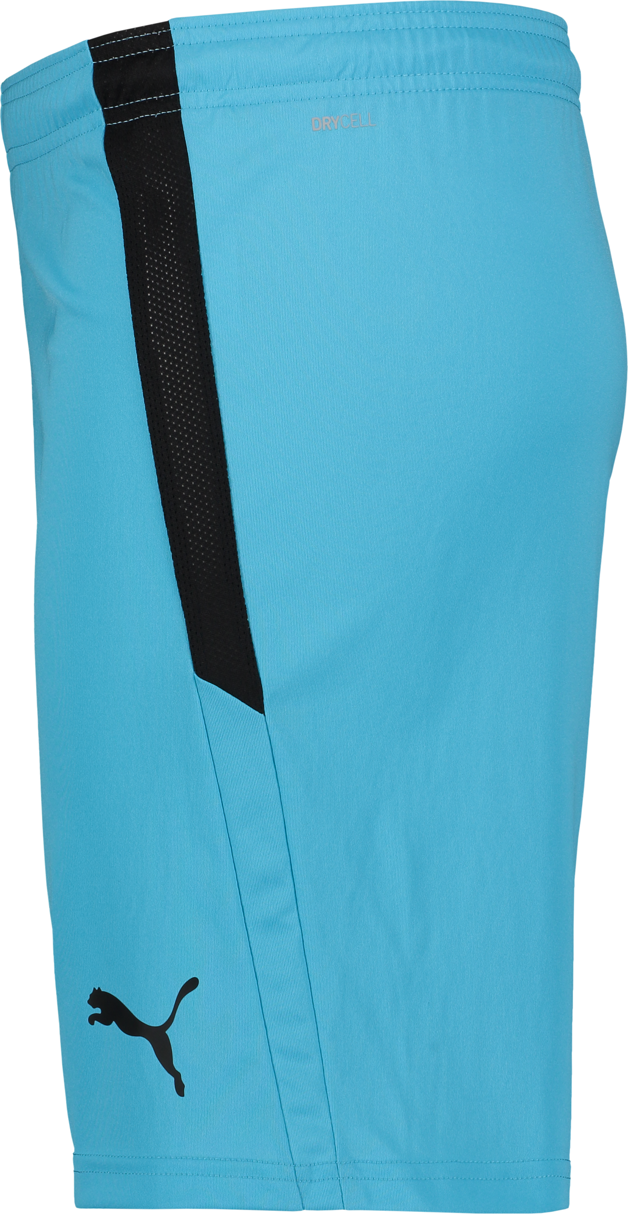 PUMA, T Liga Shorts