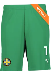 391942105101 PUMA T Goal Shorts 391942105101 PUMA T Goal Shorts Standard Small1x1