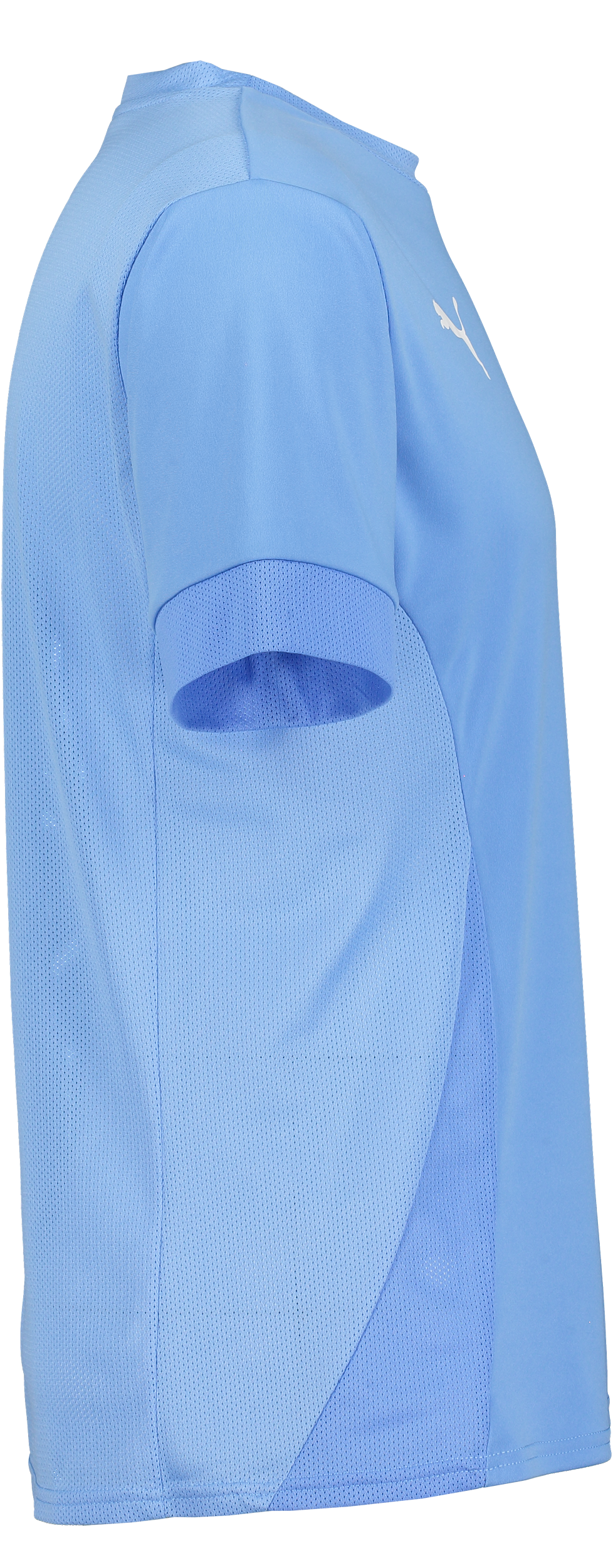 PUMA, T Goal Matchday Jsy Jr