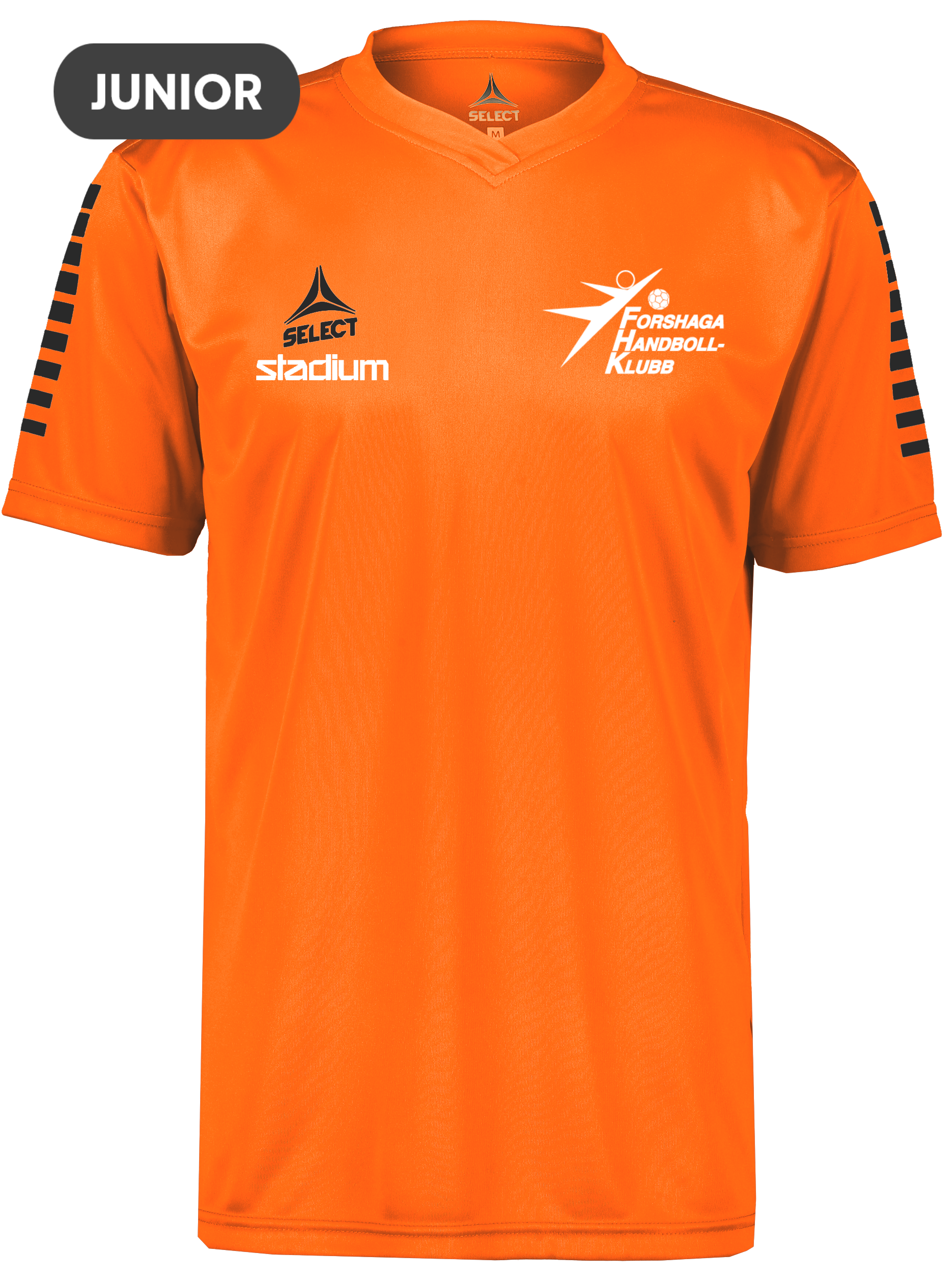 
SELECT, 
Pisa Ss Jsy Jr, 
Detail 1
