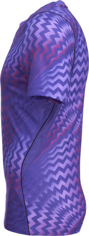 NIKE, GARDIEN VI GK SS JSY