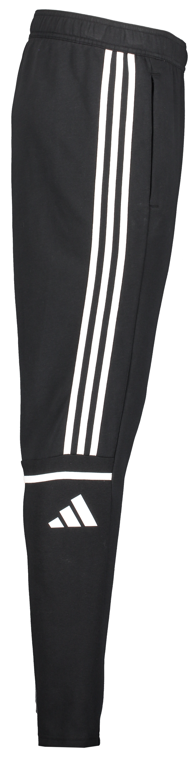 ADIDAS, Squad25 Sw Pnt