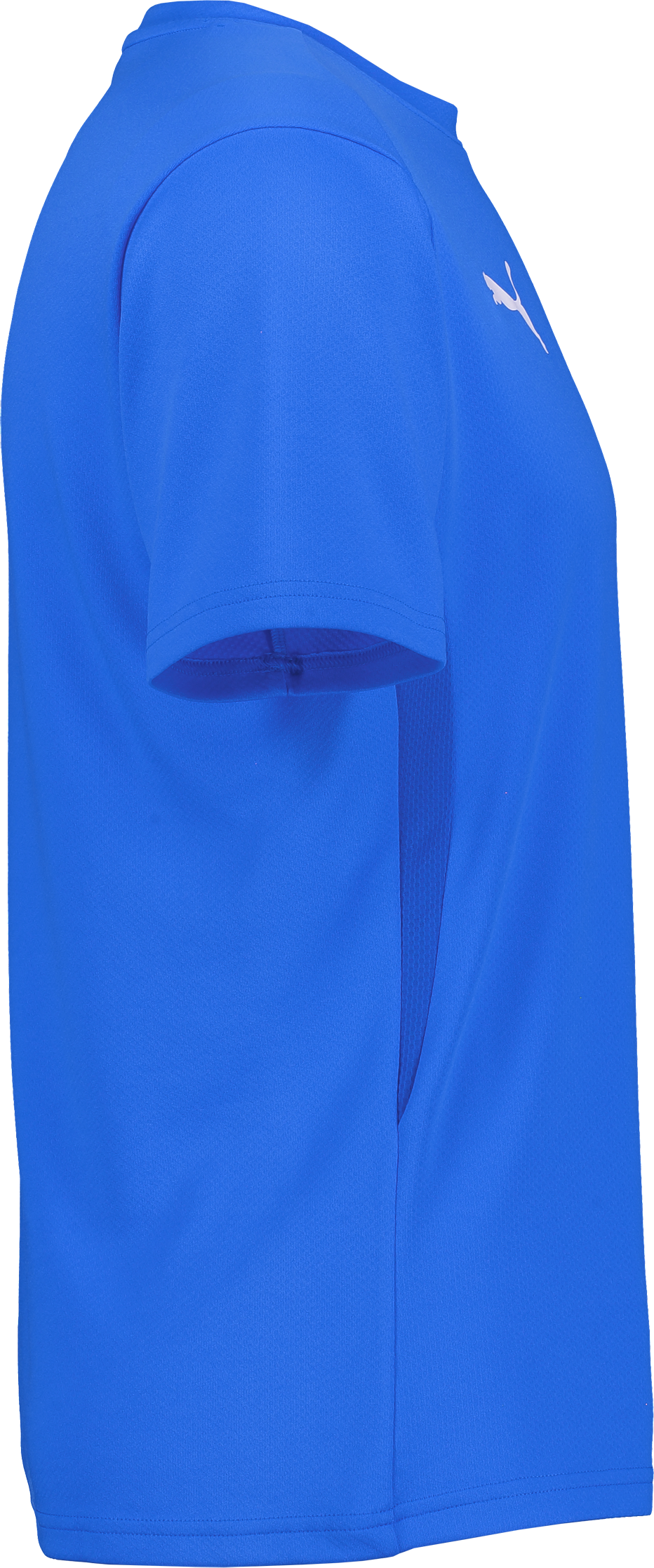 PUMA, T Goal Trg Jsy