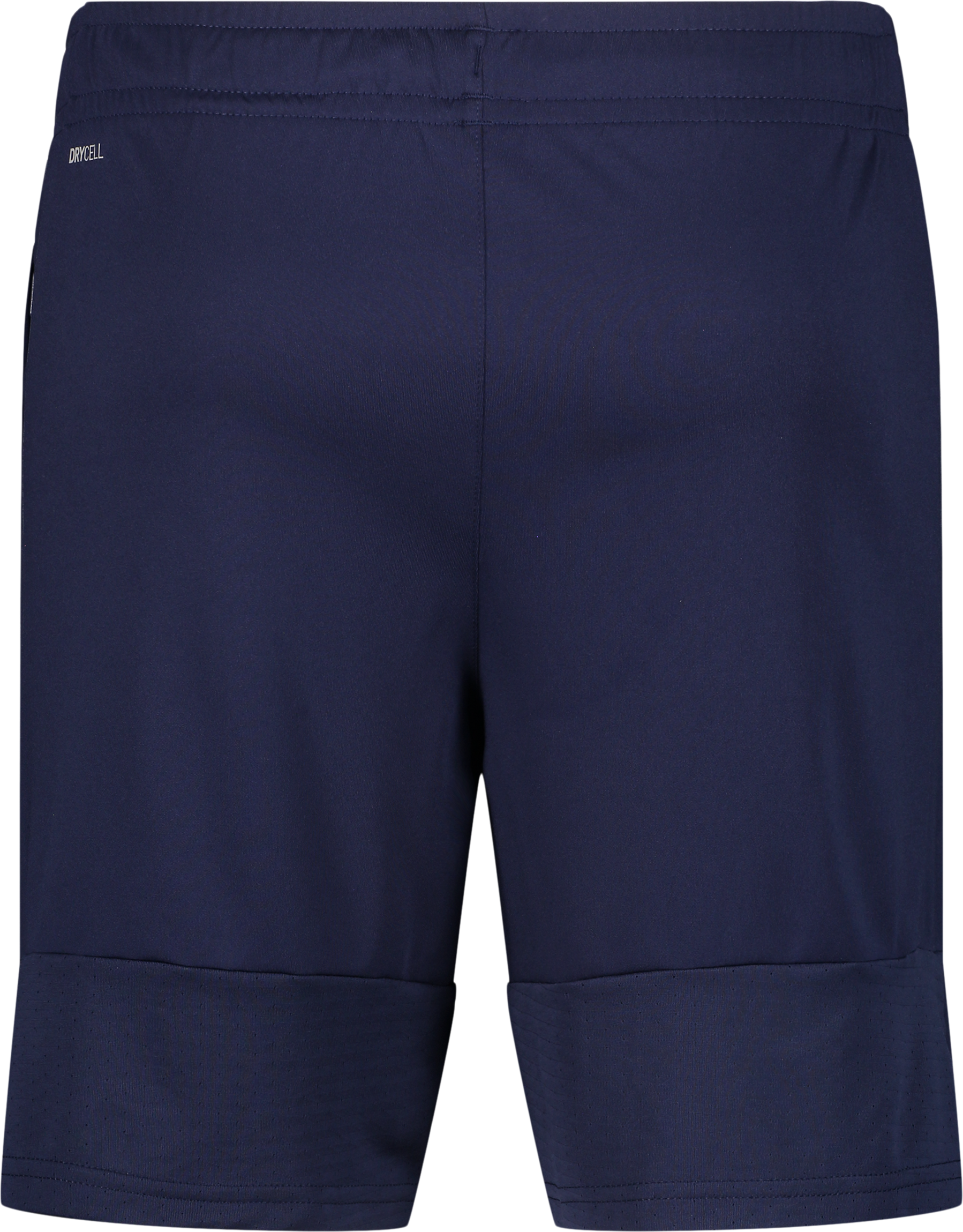 PUMA, TEAMLIGA TRAINING SHORTS