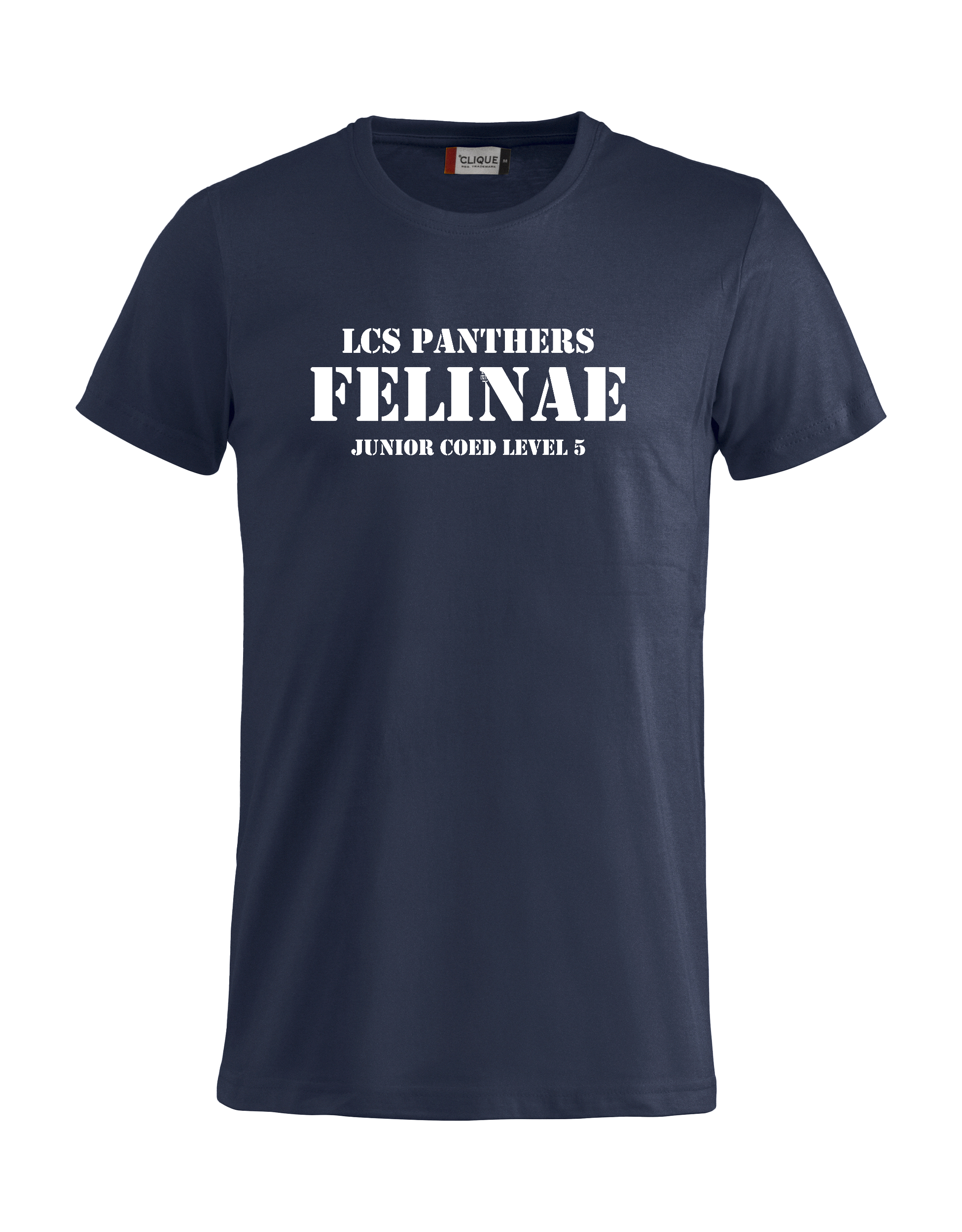 
CLIQUE, 
Basic-T, 
Detail 1
