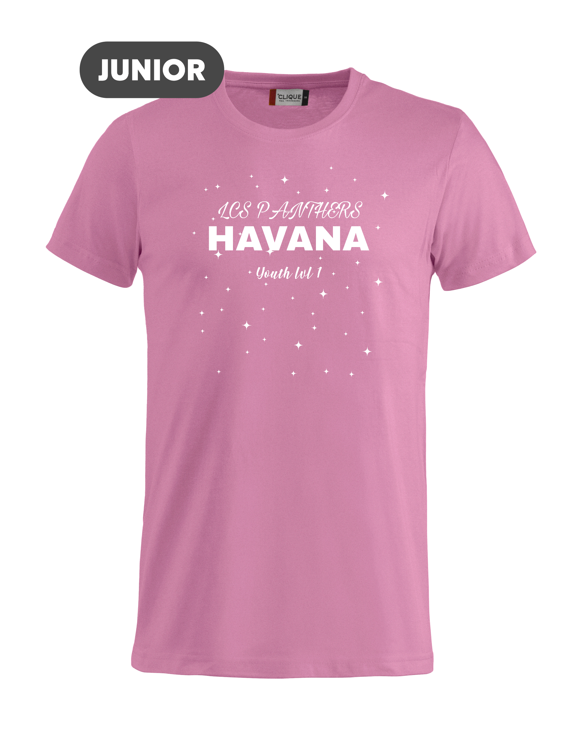 
CLIQUE, 
Basic-T, 
Detail 1
