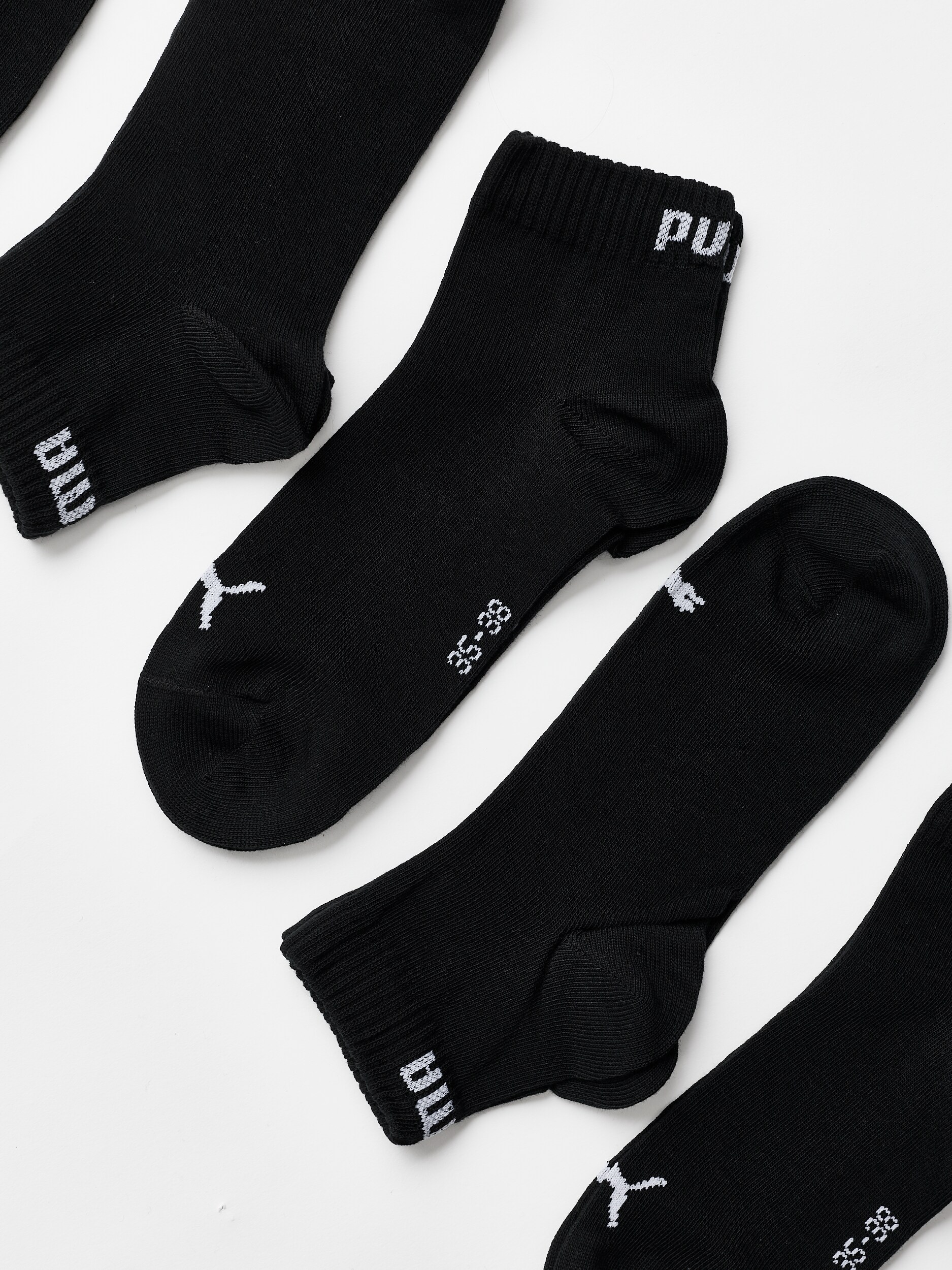 PUMA, U QUARTER PROMO 6P