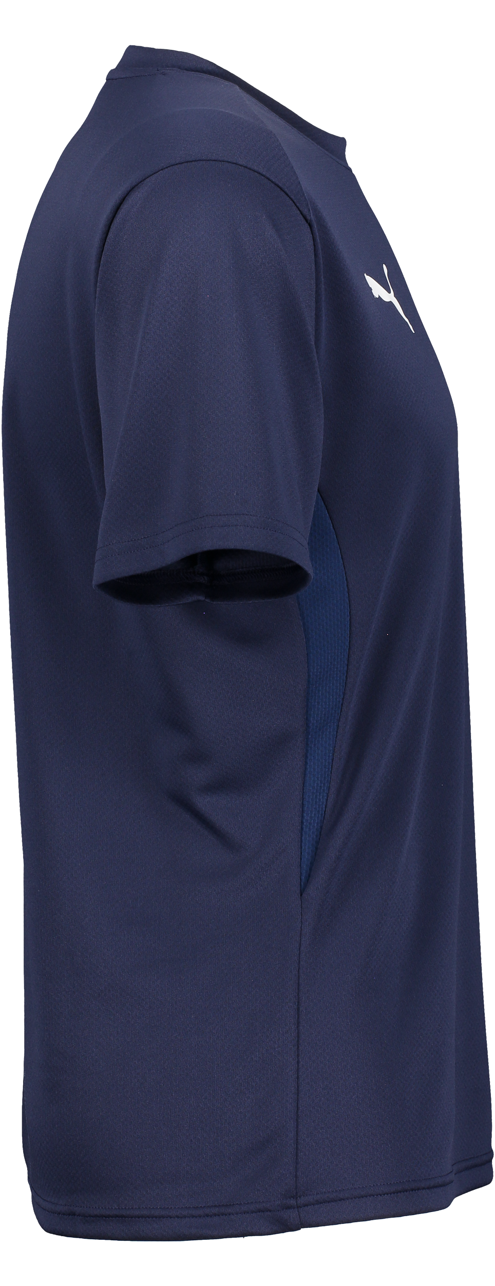 PUMA, T Goal Trg Jsy Jr