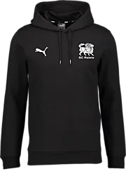 392089103101 PUMA T Goal Casual Hood Sr 392089103101 PUMA T Goal Casual Hood Sr Standard Small1x1