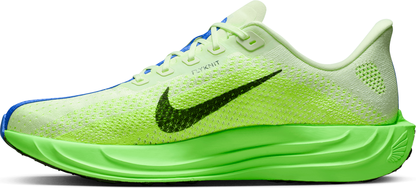 NIKE, M Pegasus Plus