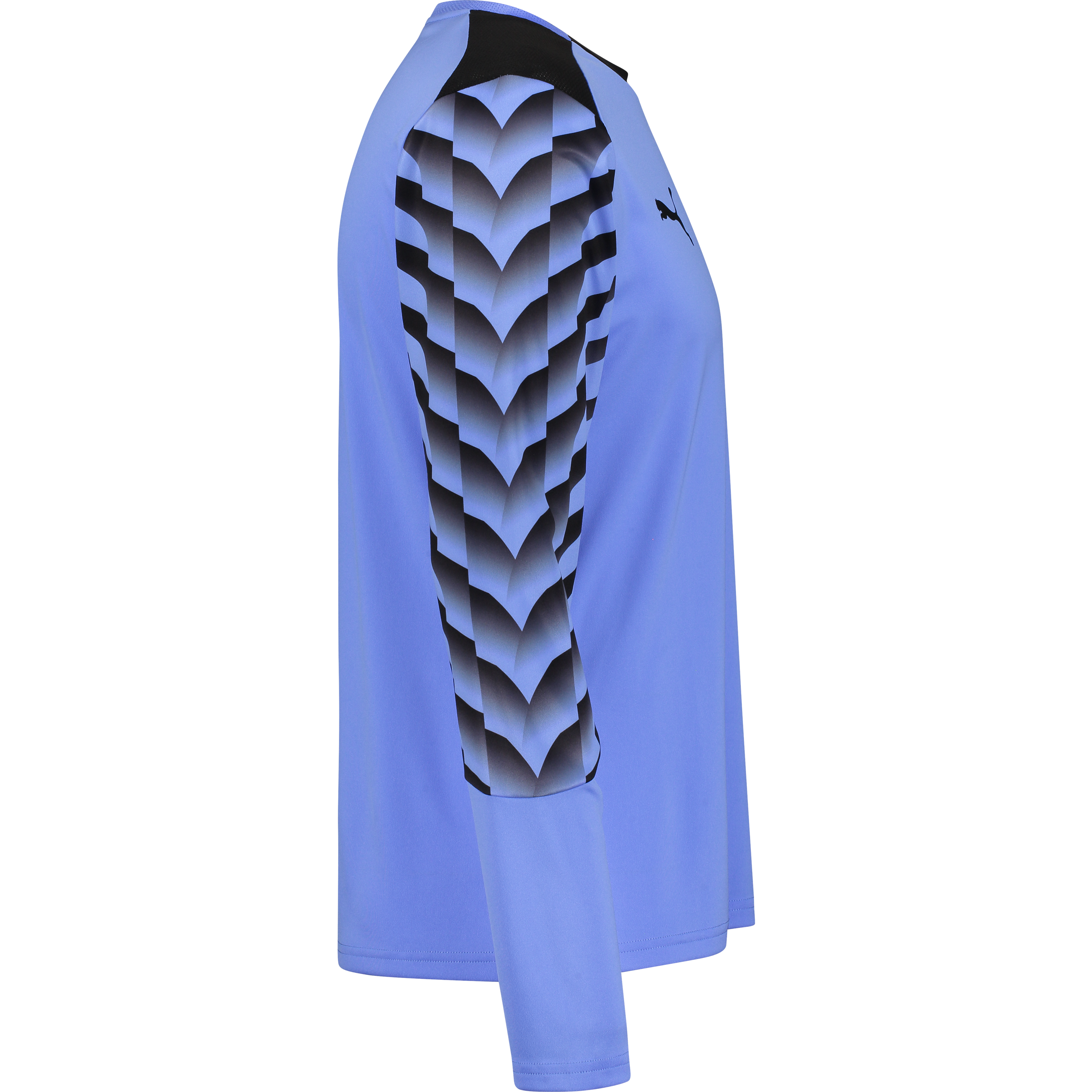 PUMA, TEAMLIGA26 GK JERSEY LS