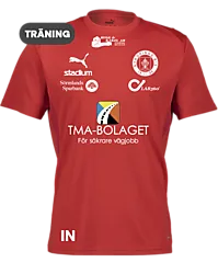 392097101101 PUMA T Goal Trg Jsy 392097101101 PUMA T Goal Trg Jsy Standard Small1x1