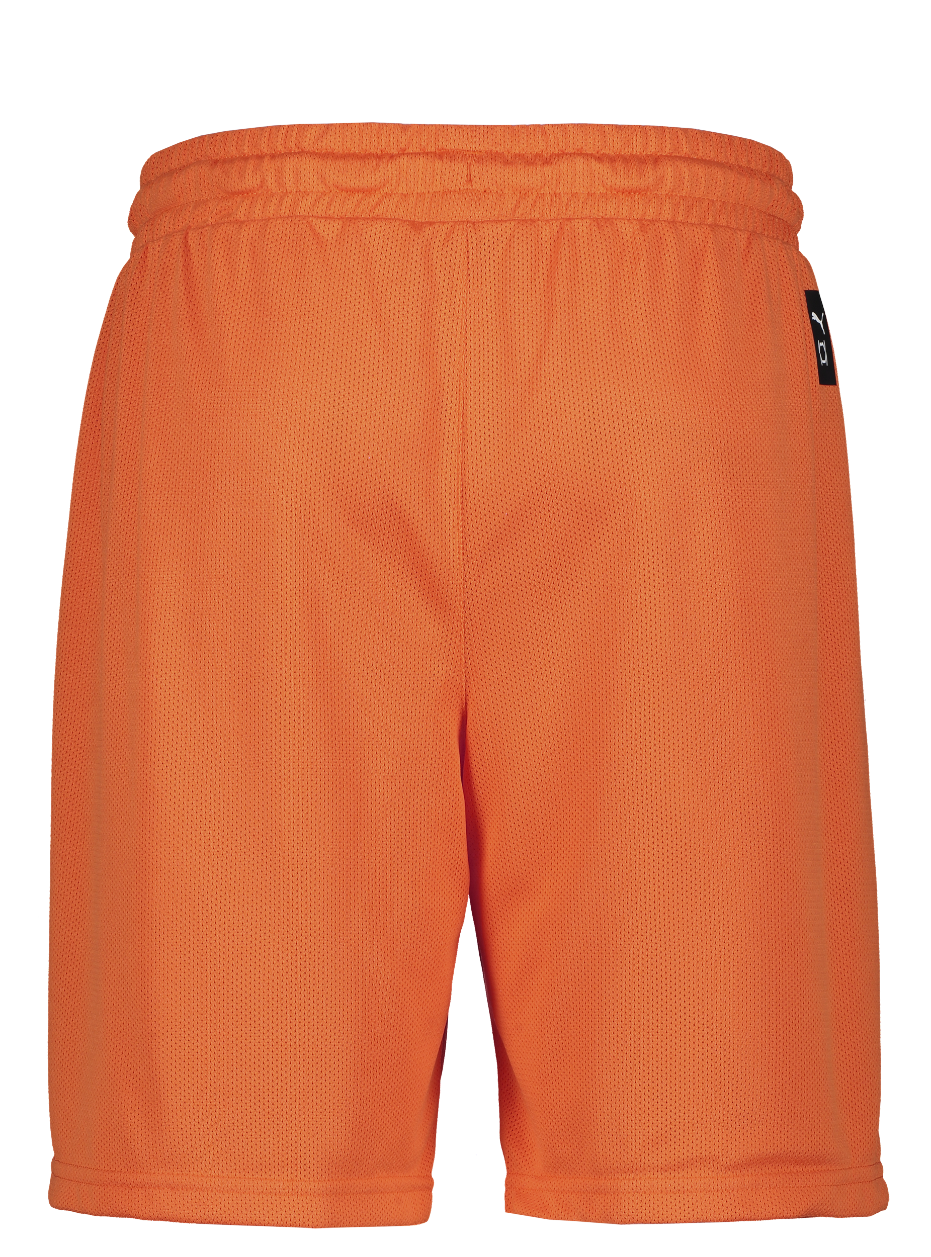 PUMA, Hoops Team Practice Short