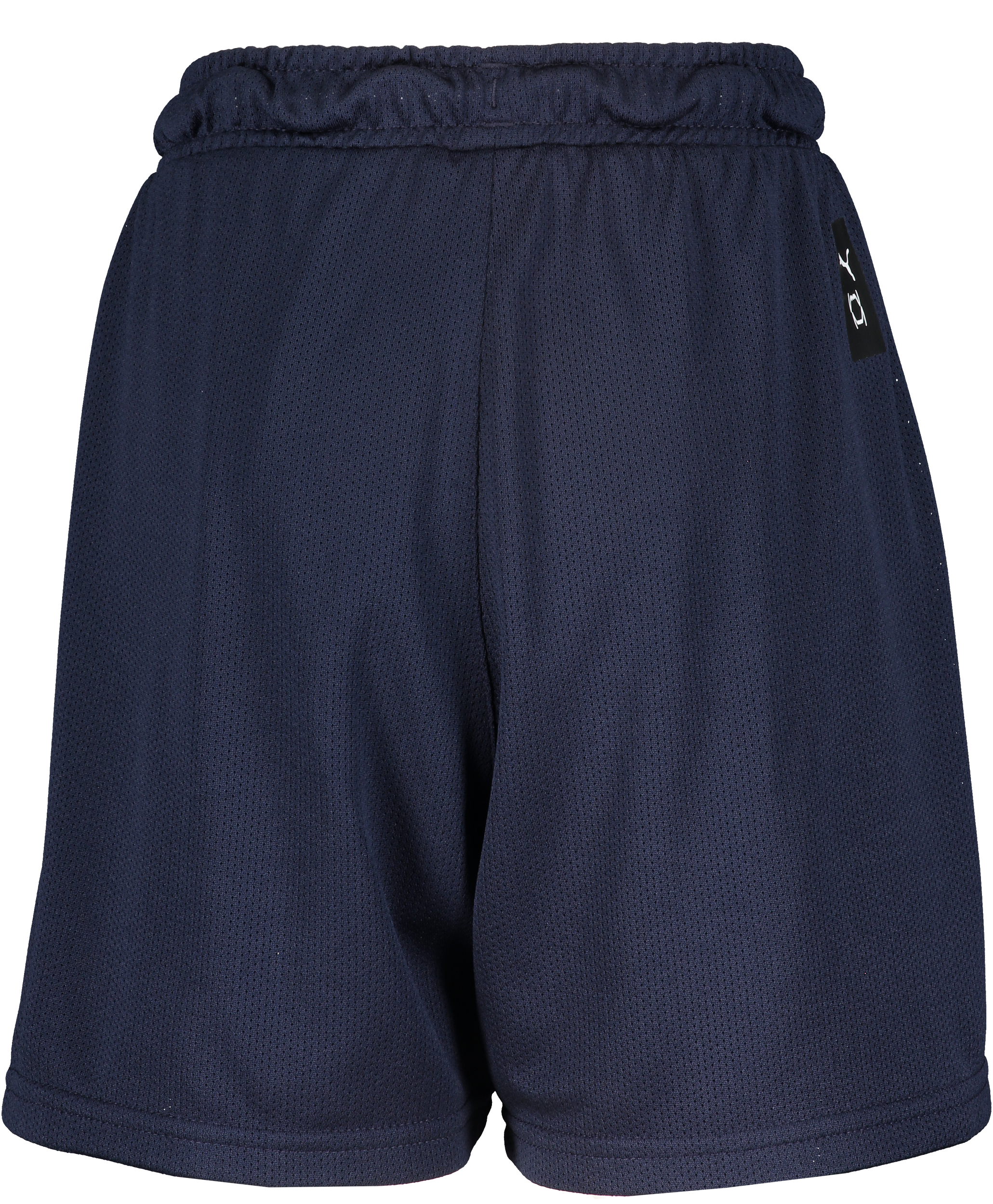 PUMA, Hoops Team Junior Practice Short