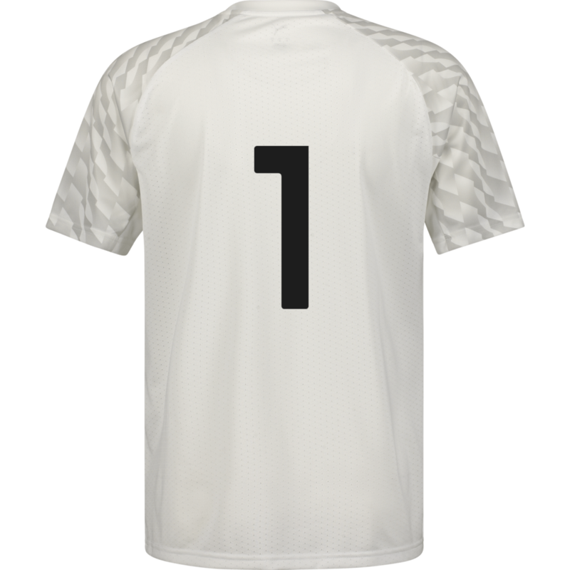 PUMA, TEAMLIGA26 JERSEY