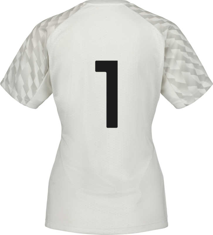 PUMA, TEAMLIGA26 JERSEY W
