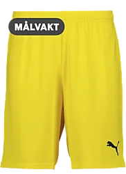 392286107101 PUMA T Goal Shorts Jr 392286107101 PUMA T Goal Shorts Jr Standard Small1x1
