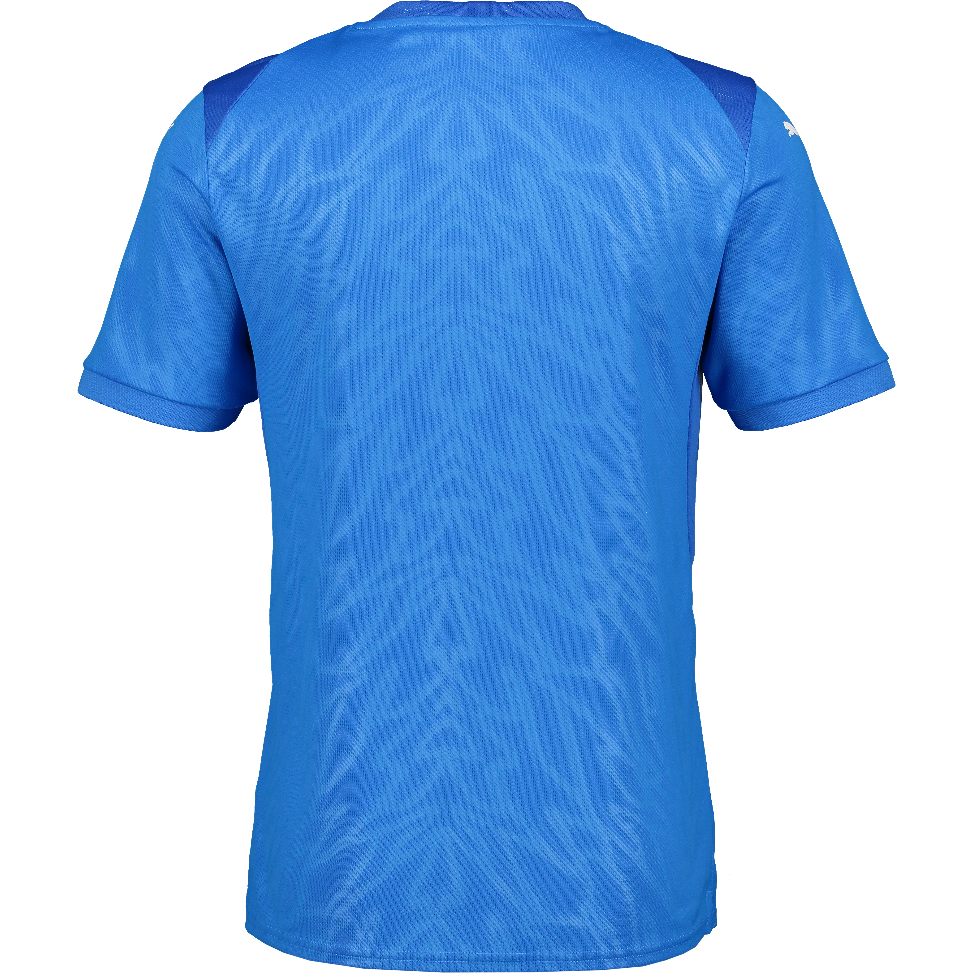 PUMA, Teamcup Jersey