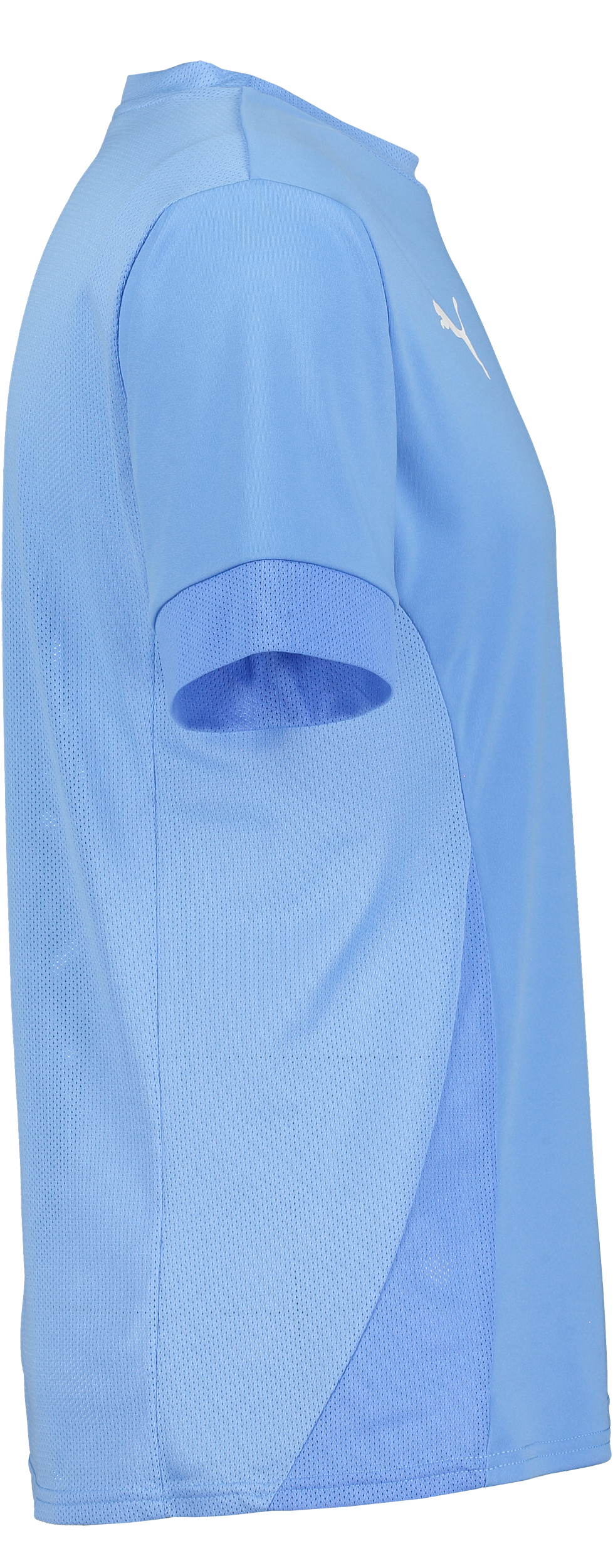 PUMA, T Goal Matchday Jsy Jr