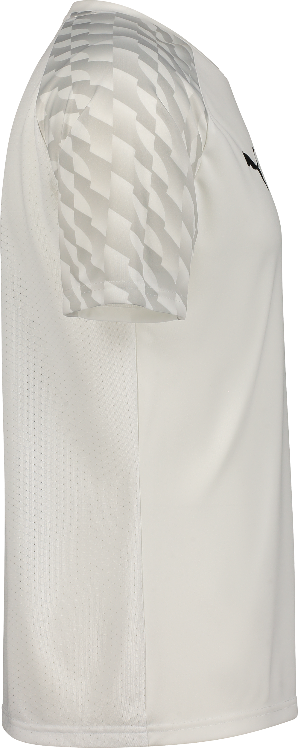 PUMA, TEAMLIGA26 JERSEY JR