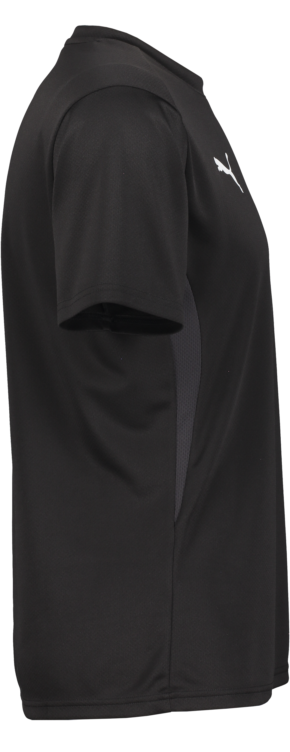 PUMA, T Goal Trg Jsy Jr