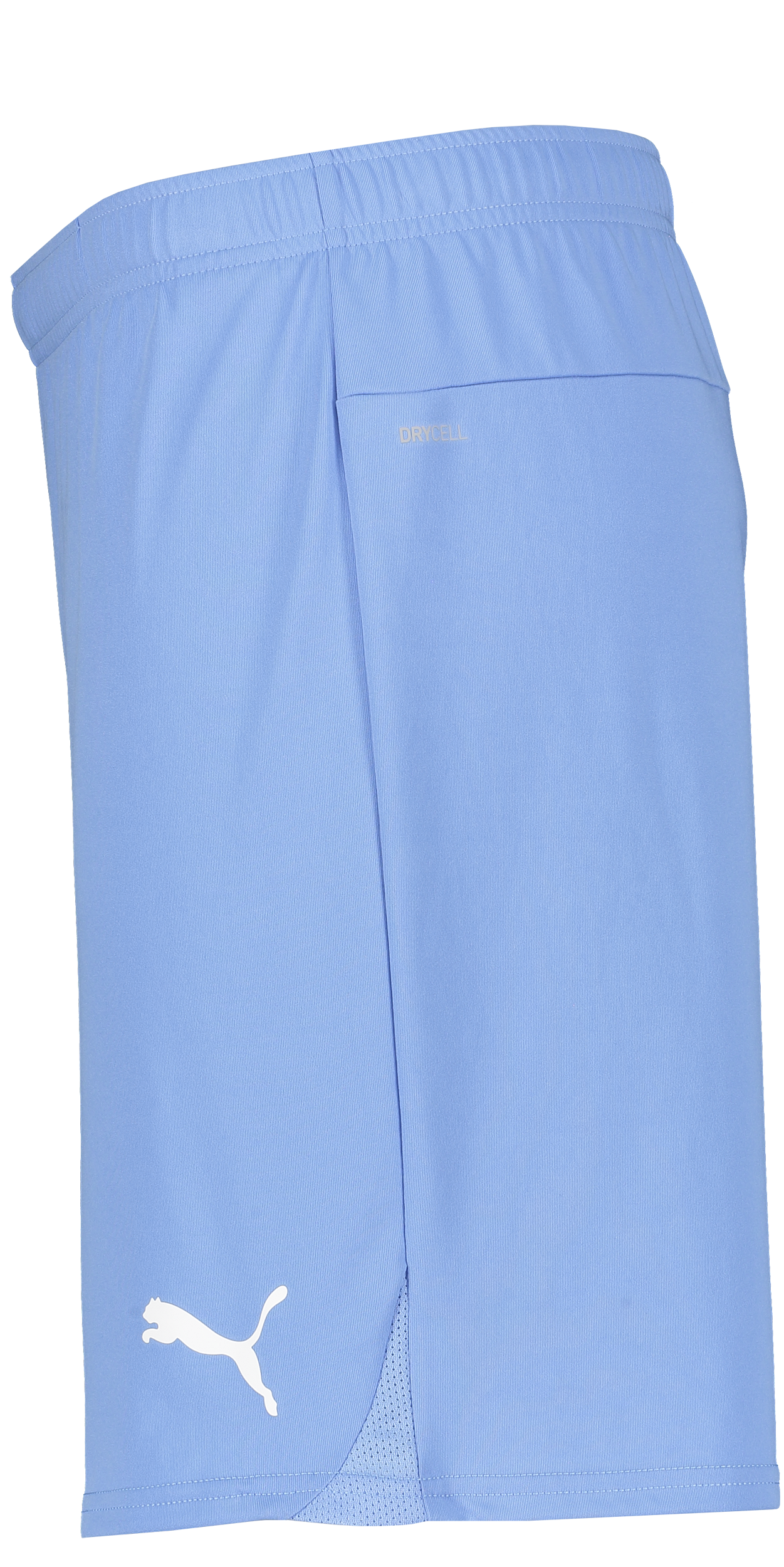 PUMA, T Goal Shorts