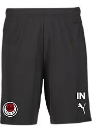 392286103101 PUMA T Goal Shorts Jr 392286103101 PUMA T Goal Shorts Jr Standard Small1x1