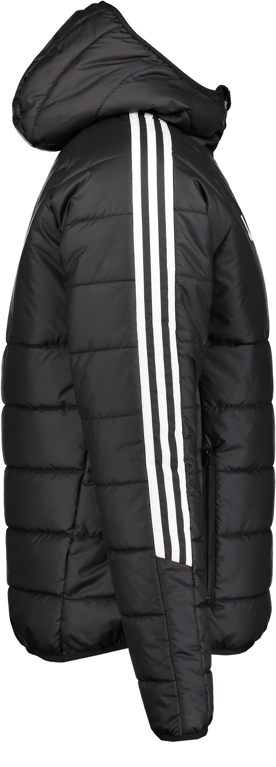 ADIDAS, Tiro24 Winter Jkt