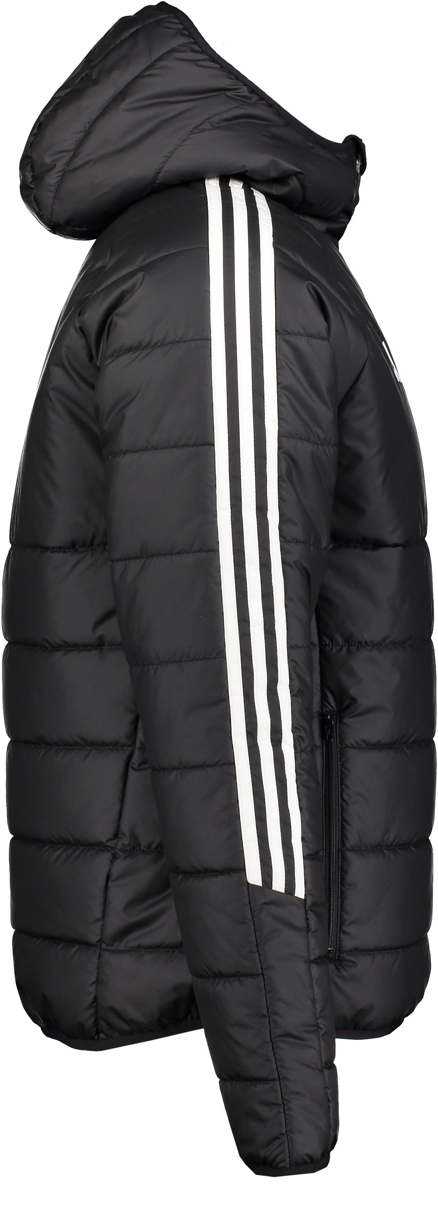 ADIDAS, Tiro24 Winter Jkt Jr