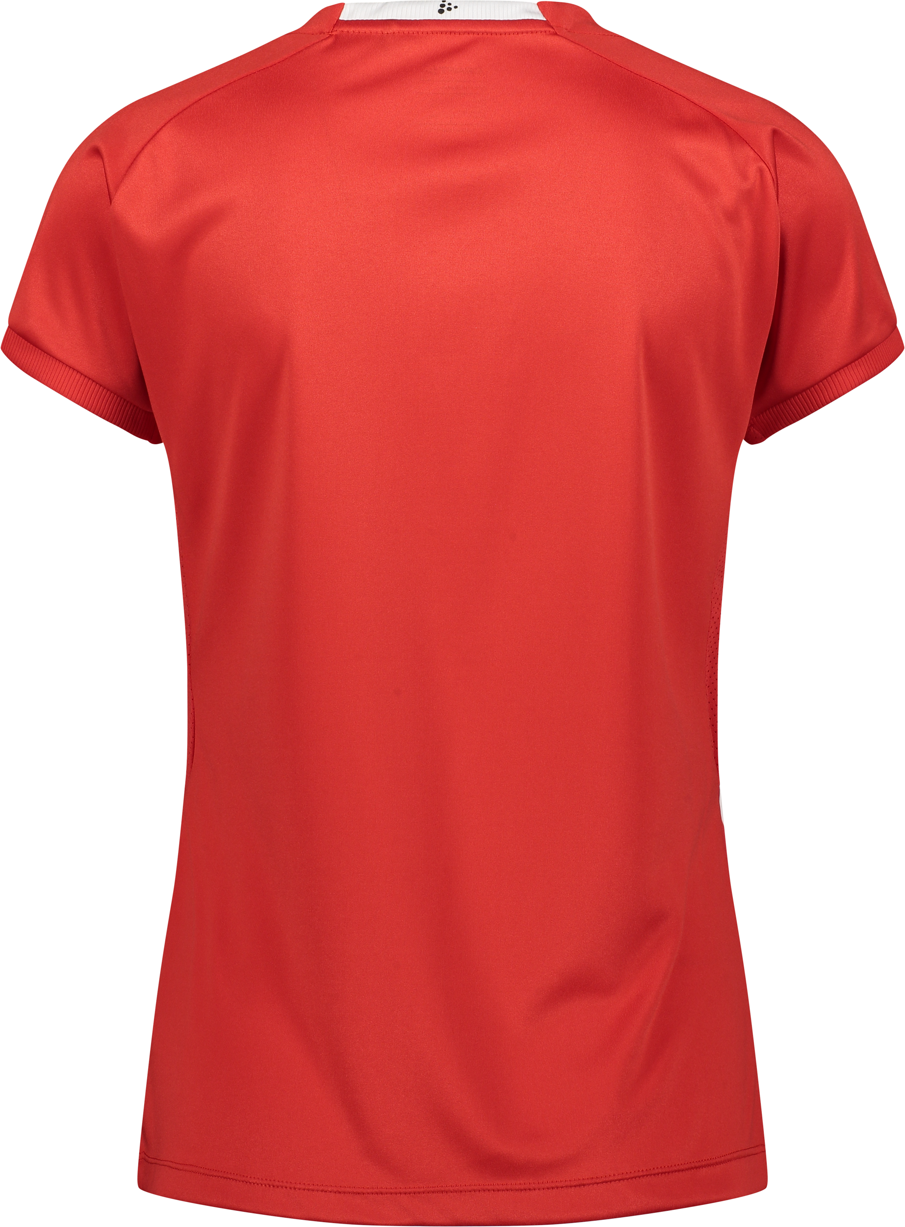 CRAFT, Prog 2.0 Striped Jsy W