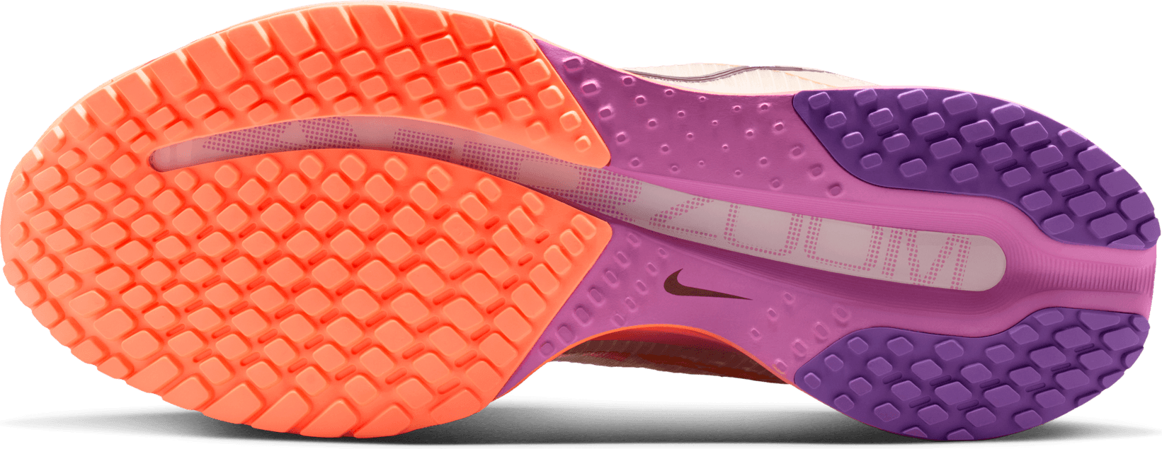 NIKE, W Pegasus Premium