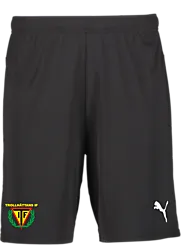 391942103101 PUMA T Goal Shorts 391942103101 PUMA T Goal Shorts Standard Small1x1