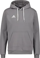 Ent22 Hoody - Grey Standard Small1x1