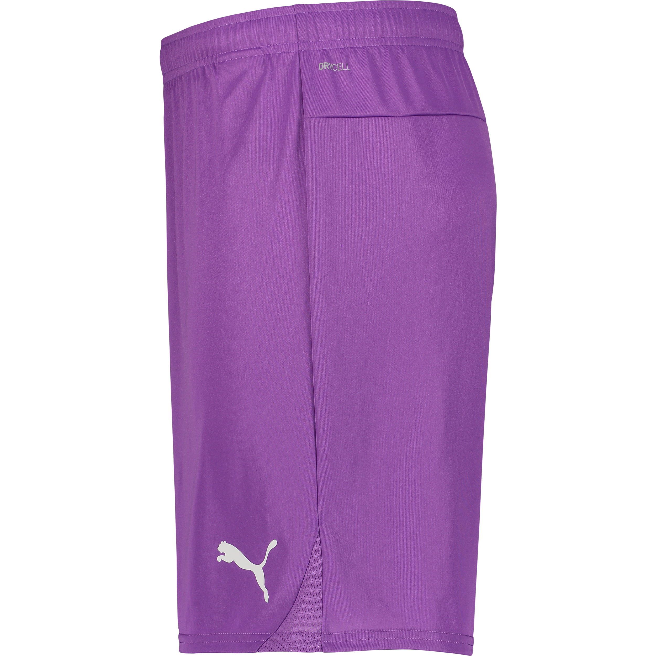 PUMA, T Goal Shorts