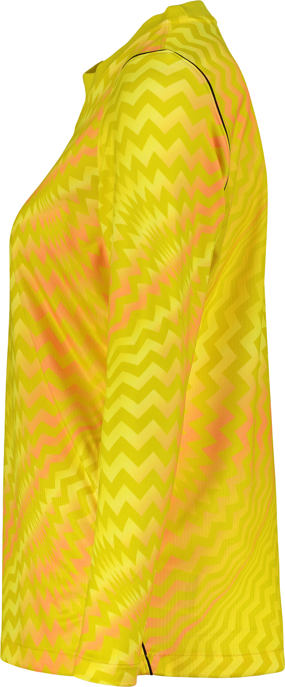 NIKE, GARDIEN VI GK LS JSY W