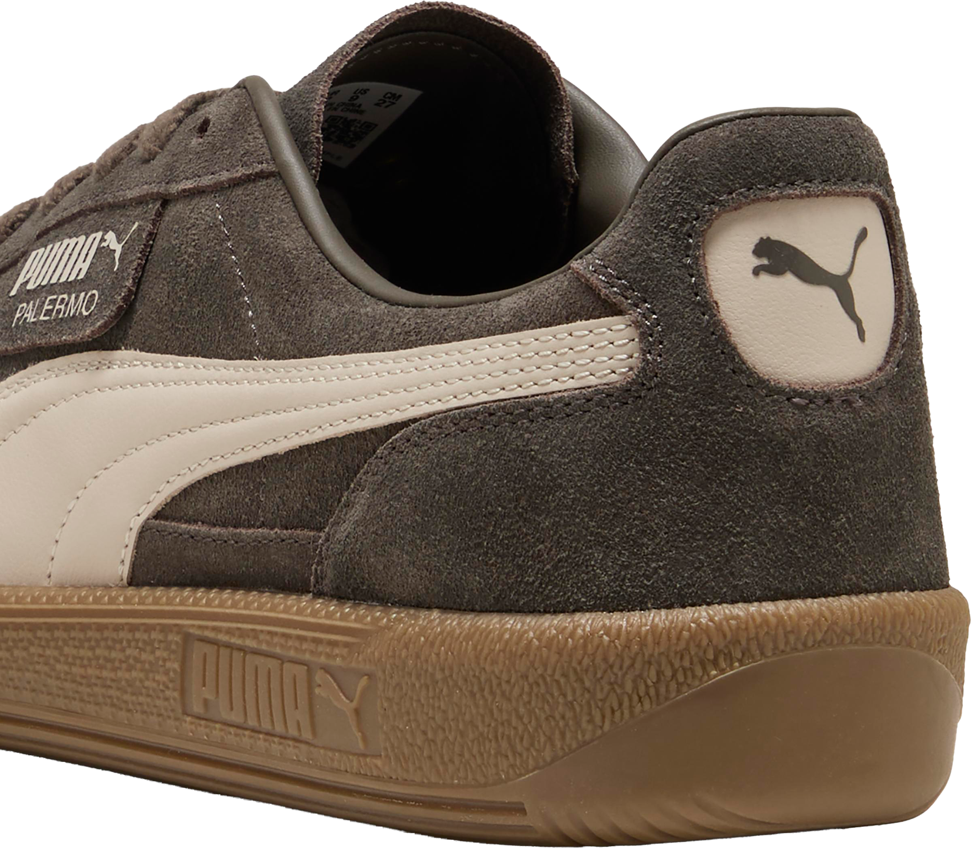 PUMA, U PALERMO