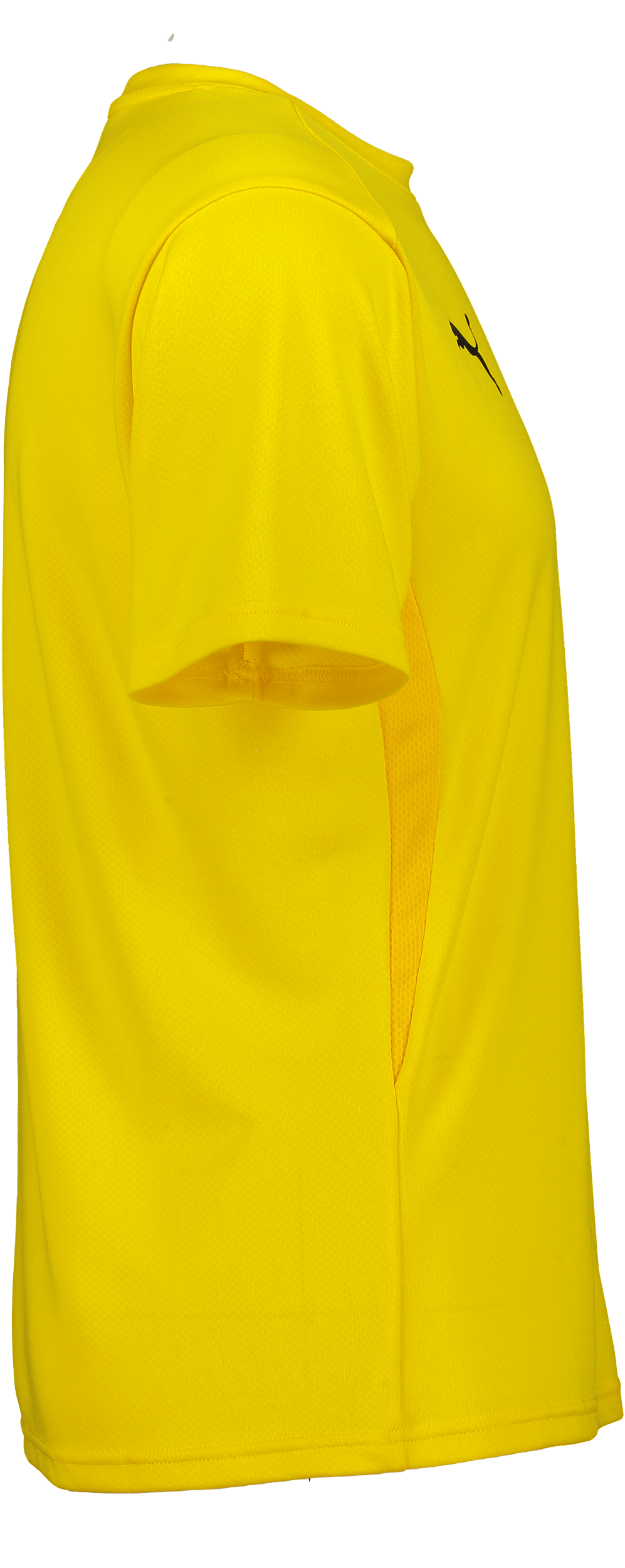 PUMA, T Goal Trg Jsy Jr