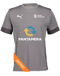 394146113101 PUMA T Goal Matchday Jsy Jr 394146113101 PUMA T Goal Matchday Jsy Jr Standard Small1x1