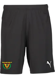 392286103101 PUMA T Goal Shorts Jr 392286103101 PUMA T Goal Shorts Jr Standard Small1x1
