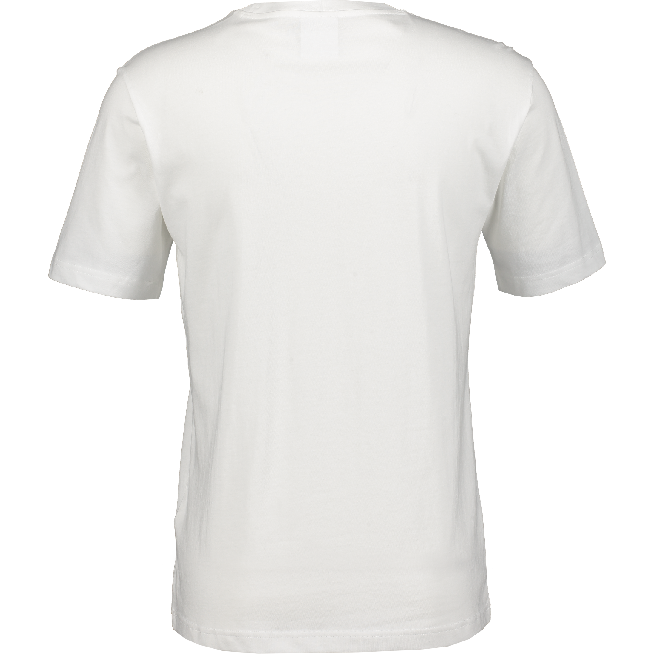 CHAMPION, Graphic Tee M